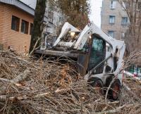 Steer Bobcat image 2